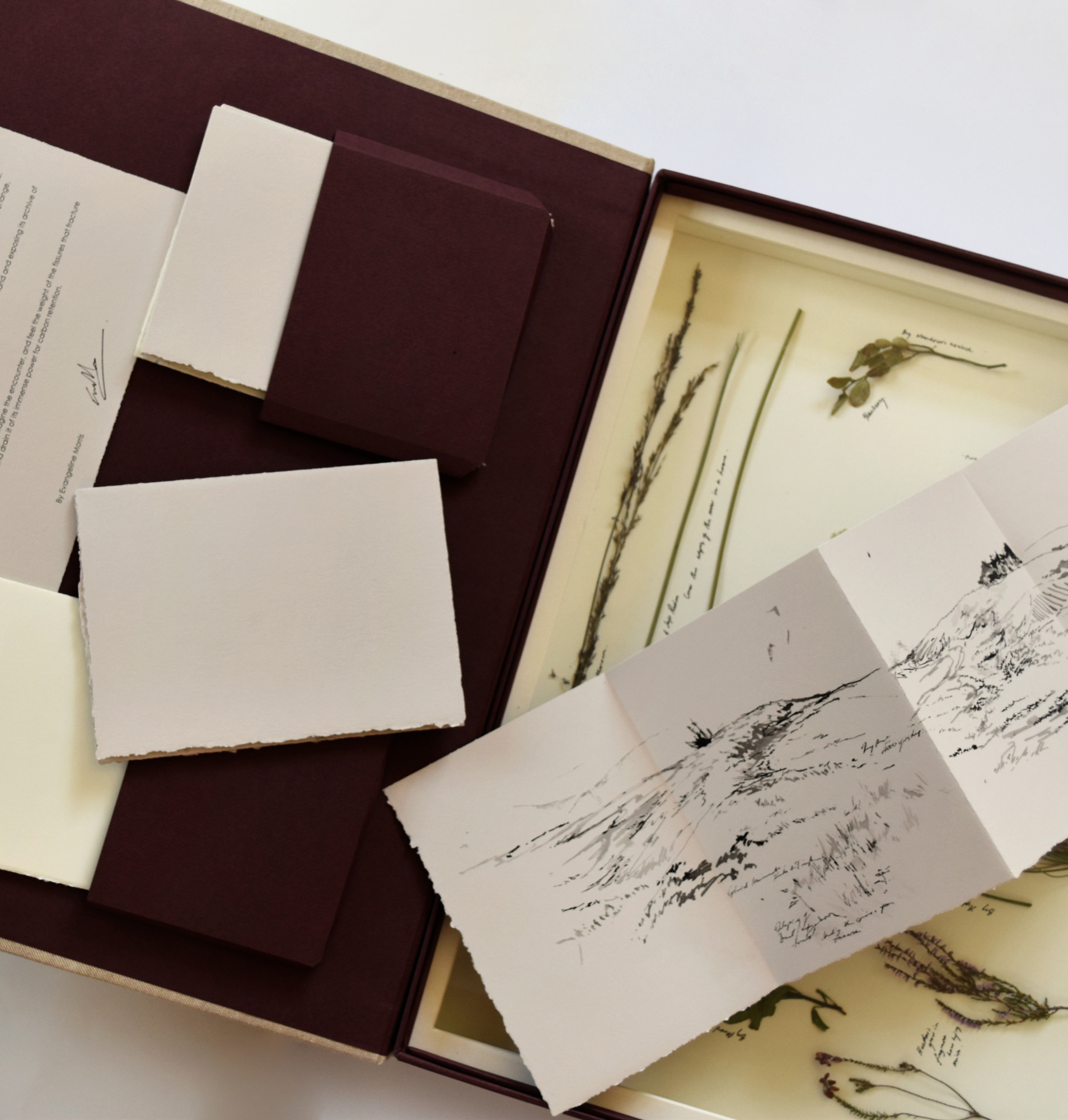 Open box showing earth maps and Vitrine